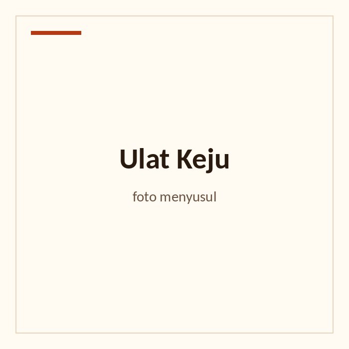 Ulat Keju